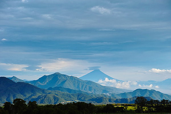 포토 JPG 주간 나무 구름 자연 하늘 산 풍경 사람없음 야외 산등성이 국내포토 자연요소 식물 생태계 파일형식