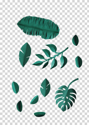 편집 편집이미지 종이 나뭇잎 사람없음 여러개 페이퍼아트 PNG 편집소스 다수 잎 파일형식