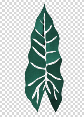1 컬러 잎 파일형식 초록색 한개 사람없음 편집소스 편집 편집이미지 PNG 나뭇잎 페이퍼아트 종이