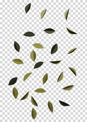 편집 편집이미지 종이 나뭇잎 사람없음 초록색 페이퍼아트 PNG 편집소스 컬러 잎 파일형식