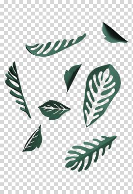 편집 편집이미지 종이 나뭇잎 사람없음 초록색 페이퍼아트 PNG 편집소스 컬러 잎 파일형식