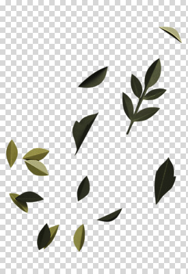 편집 편집이미지 종이 나뭇잎 사람없음 초록색 페이퍼아트 PNG 편집소스 컬러 잎 파일형식