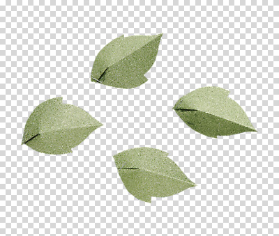 편집 편집이미지 종이 나뭇잎 사람없음 초록색 여러개 페이퍼아트 PNG 편집소스 컬러 다수 잎 파일형식