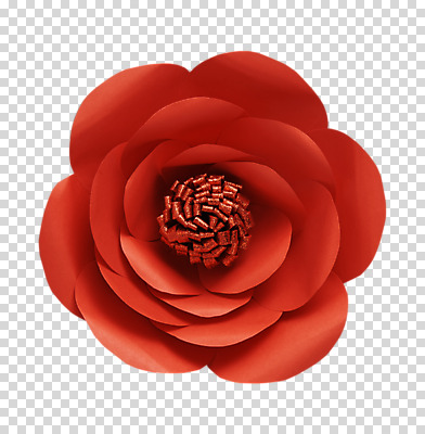 편집 편집이미지 꽃 종이 사람없음 페이퍼아트 동백 PNG 종이꽃 편집소스 식물 파일형식