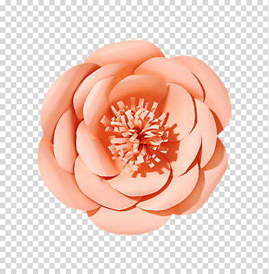 편집 편집이미지 꽃 종이 분홍색 사람없음 페이퍼아트 동백 PNG 종이꽃 편집소스 식물 컬러 파일형식