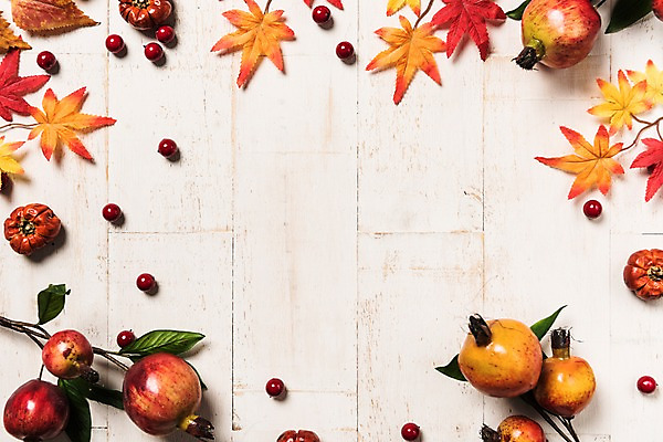 포토 JPG 스튜디오촬영 열매 단풍 과일 사진 호박 프레임 실내 사람없음 목재 나뭇결 가을 마루 석류 생과일 나무열매 나무배경 국내포토 나무 식물 계절 백그라운드 잎 채소 재료 바닥 내부 파일형식