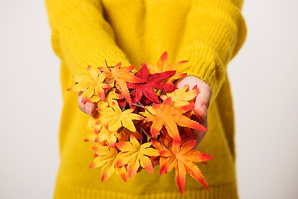 포토 JPG 스튜디오촬영 단풍 낙엽 잎 나뭇잎 실내 들기 상반신 앞모습 신체부위 가을 국내포토 식물 계절 뷰포인트 모션 사람 내부 파일형식
