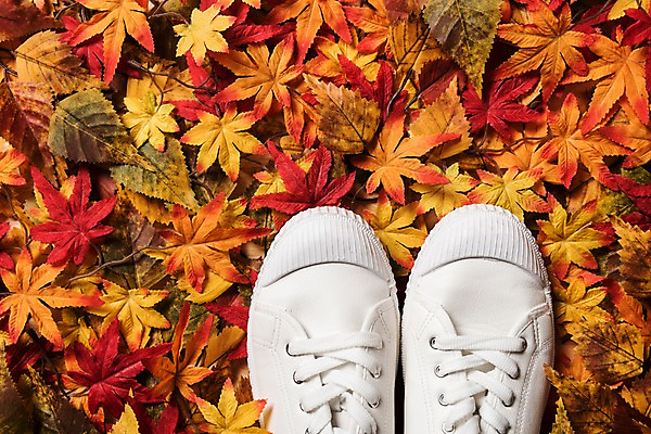 포토 JPG 스튜디오촬영 구두 운동화 신발 단풍 잎 사진 나뭇잎 실내 사람없음 가을 남성화 농구화 웨딩슈즈 테니스화 국내포토 식물 계절 스포츠용품 내부 테니스용품 결혼소품 파일형식