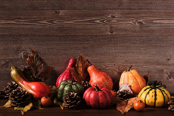 포토 JPG 스튜디오촬영 단풍 낙엽 사진 호박 실내 사람없음 목재 나뭇결 가을 솔방울 목조 늙은호박 우드 국내포토 나무 계절 잎 채소 재료 내부 파일형식