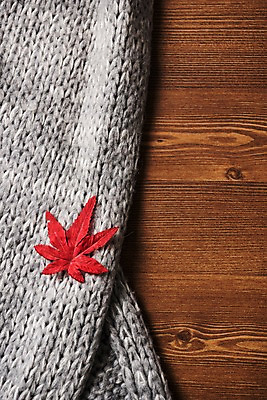 포토 JPG 스튜디오촬영 단풍 사진 실내 사람없음 목재 나뭇결 스카프 목도리 가을 직물 보자기 마루 니트 털목도리 나무배경 국내포토 나무 잡화 계절 백그라운드 상의 잎 재료 바닥 내부 파일형식 천_직물