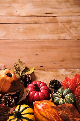 포토 JPG 스튜디오촬영 단풍 낙엽 사진 호박 프레임 실내 사람없음 목재 나뭇결 가을 마루 솔방울 나무배경 국내포토 나무 계절 백그라운드 잎 채소 재료 바닥 내부 파일형식