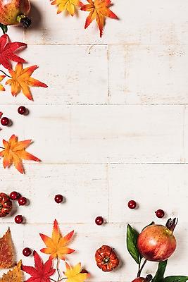 포토 JPG 스튜디오촬영 단풍 낙엽 잎 사진 호박 나뭇잎 프레임 실내 사람없음 목재 나뭇결 가을 마루 석류 나무배경 국내포토 나무 식물 계절 백그라운드 채소 과일 재료 바닥 내부 파일형식