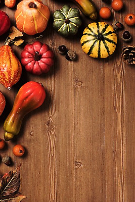 포토 JPG 스튜디오촬영 낙엽 사진 호박 프레임 실내 사람없음 목재 나뭇결 가을 마루 도토리 솔방울 나무배경 국내포토 나무 계절 백그라운드 잎 채소 재료 바닥 내부 견과류 파일형식