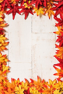 포토 JPG 스튜디오촬영 단풍 잎 사진 나뭇잎 프레임 실내 사람없음 목재 나뭇결 가을 마루 나무배경 국내포토 나무 식물 계절 백그라운드 재료 바닥 내부 파일형식