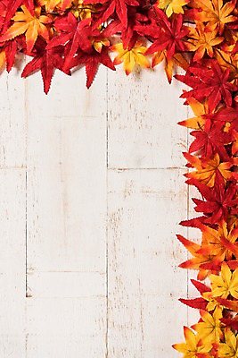 포토 JPG 스튜디오촬영 단풍 사진 프레임 실내 사람없음 목재 나뭇결 가을 마루 나무배경 국내포토 나무 계절 백그라운드 잎 재료 바닥 내부 파일형식