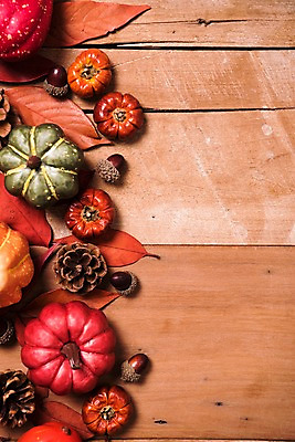 포토 JPG 스튜디오촬영 낙엽 사진 호박 프레임 실내 사람없음 목재 가을 마루 도토리 솔방울 나무배경 국내포토 나무 계절 백그라운드 잎 채소 재료 바닥 내부 견과류 파일형식