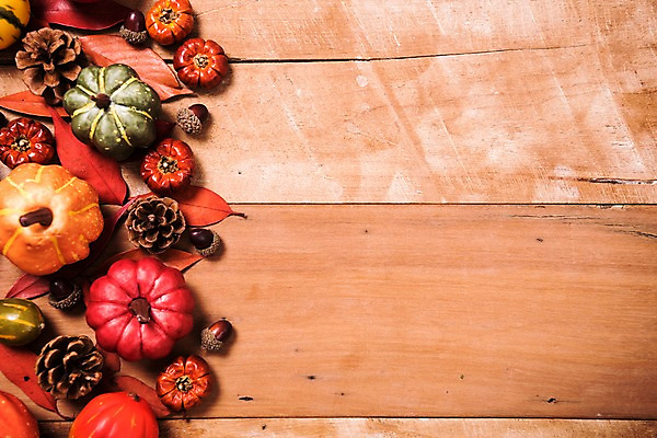 포토 JPG 스튜디오촬영 잎 사진 호박 나뭇잎 프레임 실내 사람없음 목재 가을 마루 도토리 솔방울 나무배경 국내포토 나무 식물 계절 백그라운드 채소 재료 바닥 내부 견과류 파일형식