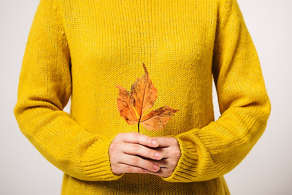 포토 JPG 스튜디오촬영 낙엽 잎 사진 나뭇잎 실내 들기 앞모습 신체부위 가을 국내포토 식물 계절 뷰포인트 모션 사람 내부 파일형식