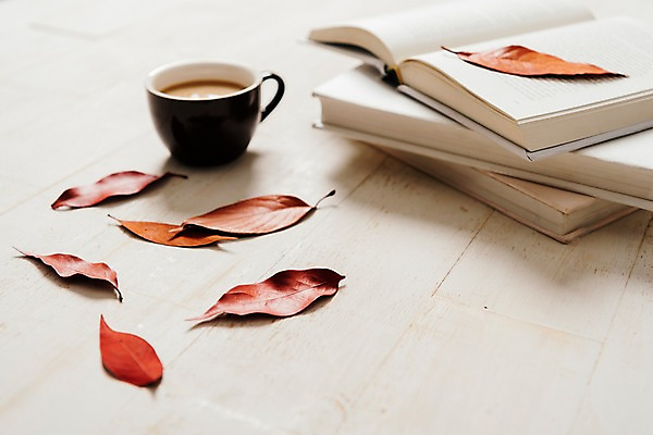 포토 JPG 스튜디오촬영 커피 낙엽 잎 사진 나뭇잎 실내 사람없음 아웃포커스 책 가을 국내포토 식물 계절 음료 촬영기법 내부 파일형식