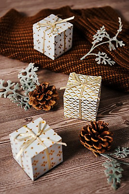 포토 JPG 스튜디오촬영 잎 나뭇잎 실내 사람없음 목재 선물상자 목도리 가을 니트 솔방울 털목도리 나무배경 국내포토 나무 식물 잡화 계절 백그라운드 상의 재료 선물 내부 상자 파일형식