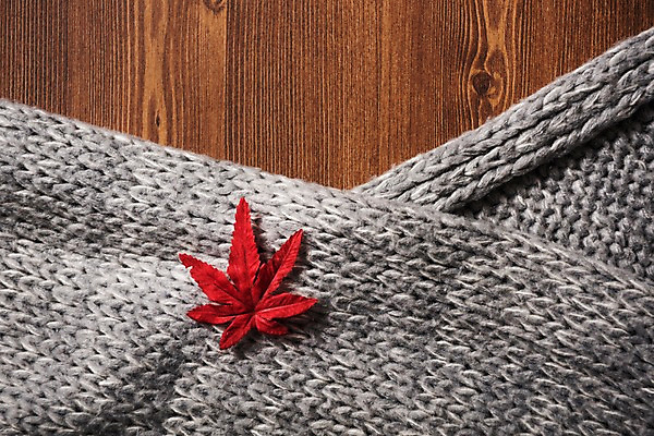 포토 JPG 스튜디오촬영 단풍 사진 실내 사람없음 목재 스카프 목도리 가을 직물 보자기 마루 니트 털목도리 나무배경 국내포토 나무 잡화 계절 백그라운드 상의 잎 재료 바닥 내부 파일형식 천_직물