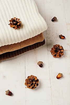 포토 JPG 스튜디오촬영 사진 실내 사람없음 목재 가을 마루 니트 도토리 솔방울 나무배경 국내포토 나무 계절 백그라운드 상의 재료 바닥 내부 견과류 파일형식