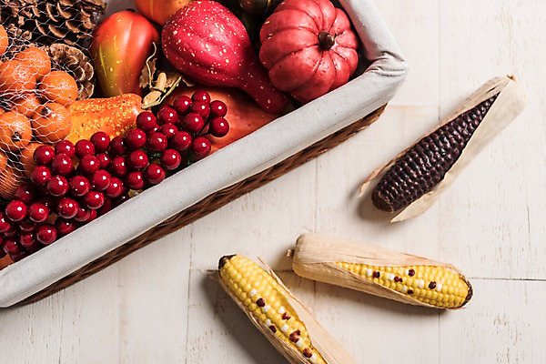 포토 JPG 스튜디오촬영 열매 과일 사진 호박 실내 옥수수 사람없음 목재 바구니 가을 마루 솔방울 늙은호박 나무배경 국내포토 나무 식물 계절 백그라운드 채소 재료 곡류 바닥 내부 파일형식