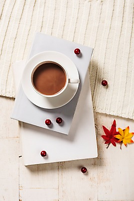 포토 JPG 스튜디오촬영 열매 커피 단풍 과일 사진 실내 사람없음 목재 책 가을 마루 니트 나무배경 국내포토 나무 식물 계절 음료 백그라운드 상의 잎 재료 바닥 내부 파일형식