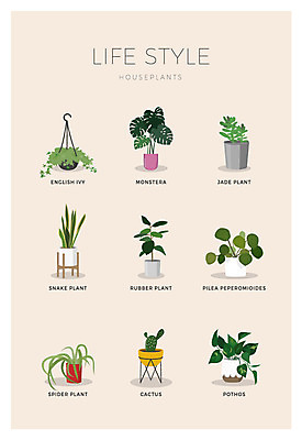 식물 아이콘 화분 나뭇잎 선인장 사람없음 세트 원예 아이비 몬스테라 2D아이콘 AI파일 잎 취미 파일형식 벡터