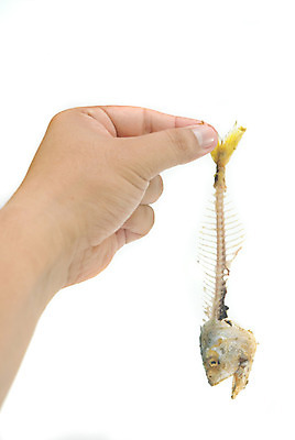 포토 JPG 해외이미지 전통 음식 바다 조각 백그라운드 잎 재료 부분 태국 새우 뼈 골격 바나나 건강 저울 어류 스테이크 요리 동양인 사람없음 초록색 식당 식사 저녁식사 튀김 흰색 신선 뜨거움 시장 맛 자르기 해산물 오브젝트 눈금 육식동물 지느러미 고등어 폭식 단백질 송어 해외202004 해외포토 식물 동물 아시아 컬러 컨셉 과일 모션 서양음식 갑각류 인종 상점 수중동물 영양소 파일형식 이미지허브