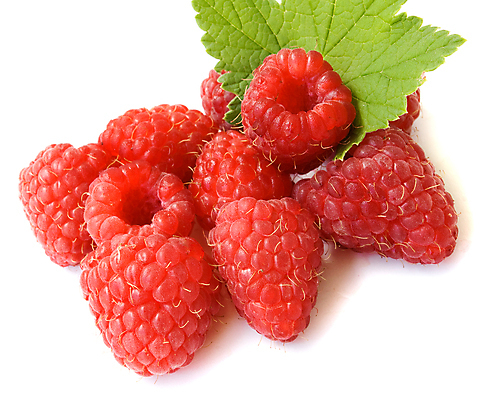 포토 JPG 해외이미지 열매 음식 백그라운드 잎 다이어트 과일 재료 자연 디저트 건강 사람없음 빨간색 초록색 여름 쌓기 주스 흰색 신선 달콤 맛 먹기 상쾌 유기농 날것 산딸기 흙더미 내추럴 고립 숙성 채식주의자 해외202004 해외포토 식물 웰빙 계절 감정 음료 컬러 컨셉 모션 흙 생태계 채식 파일형식 더미 이미지허브