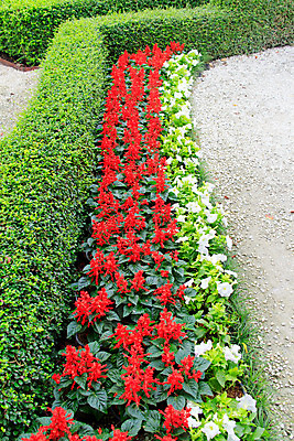 포토 JPG 해외이미지 식물 디자인 계절 공원 꽃잎 꽃 분홍색 여행 백그라운드 잎 꽃무늬 밭 오렌지 자연 하늘 휴가 풍경 잔디 사람없음 장식 빨간색 초록색 물 여름 파란색 컬러풀 태양 노란색 정원 보라색 봄 성장 벚꽃 흰색 침대 신선 개화 원예 내추럴 해외202004 해외포토 자연요소 공공시설 컬러 가구 무늬 농업 과일 취미 생태계 파일형식 이미지허브