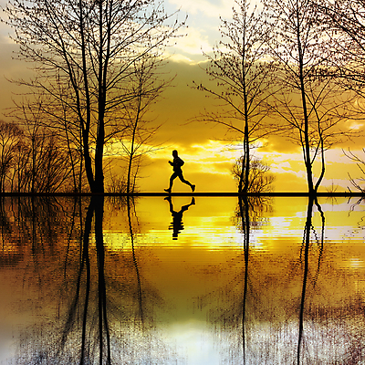 포토 JPG 해외이미지 나무 라이프스타일 실루엣 스포츠 바다 맨발 건강 사람없음 야외 물 달리기 조깅 운동 반사 일몰 황금 떨어짐 달리기선수 해외202004 해외포토 자연요소 식물 컨셉 모션 발 촬영기법 생활 노을 육상선수 파일형식 이미지허브