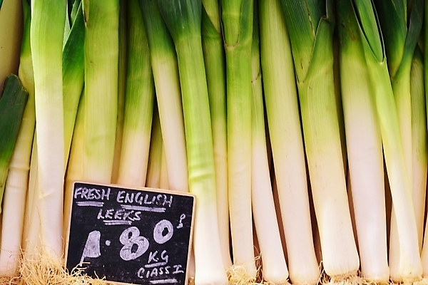 포토 JPG 해외이미지 음식 농업 채소 재료 건강 사람없음 초록색 검은색 칠판 봄 수확 흰색 시골 신선 시장 유기농 뿌리 부추 채식주의자 해외202004 해외포토 웰빙 계절 산업 컬러 채식 파일형식 이미지허브