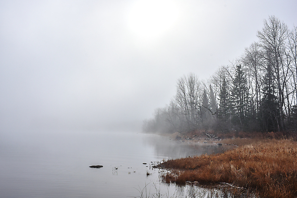 포토 JPG 해외이미지 나무 계절 자연 아침 사람없음 야외 물 햇빛 태양 어둠 회색 젖음 촉촉함 추위 안개 가을 바위 신선 가장자리 숲 시원함 11월 속도 암초 내추럴 뿌연 해외202004 해외포토 주간 자연요소 식물 컬러 날씨 돌_바위 날짜 둘레 생태계 파일형식 이미지허브