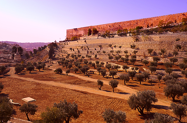 포토 JPG 해외이미지 나무 전통 기독교 종교 문화 벽 여행 건축양식 하늘 벽돌 산 사람없음 파란색 교회 일출 믿음 탑 계곡 성경 바위 도시 사찰 예수 역사 이슬람교 묘사 올리브 모스크 신성 기념물 유대인 장례 신앙심 예루살렘 옛날 유태교 이스라엘 장례식 팔레스타인 해외202004 해외포토 식물 건축물 열매 건축 감정 컬러 중동 종교용품 종교건축 건물 노을 돌_바위 신_종교 서아시아 파일형식 이미지허브