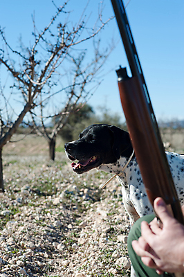 포토 JPG 해외이미지 남자 무기 밭 자연 친절 통 사람없음 야외 세로 햇빛 맑음 총 시골 개 손목시계 경계 사냥 냄새 사냥꾼 엽총 충고 해외202004 해외포토 직업 시계 농업 장신구 포유류 날씨 사람 태양 생태계 파일형식 이미지허브