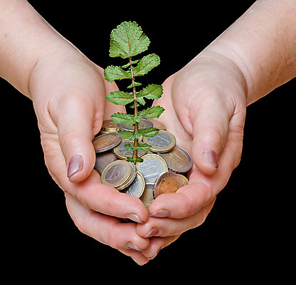 포토 JPG 해외이미지 나무 식물 손 백그라운드 잎 돈 자연 손바닥 사람 사람없음 초록색 금융 경제 쌓기 동전 검은색 유로 성장 닫기 보호 팔 고립 생태학 유럽연합 해외202004 해외포토 교육 컬러 컨셉 모션 신체부위 재산 생태계 파일형식 이미지허브
