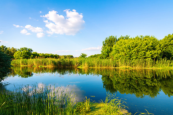 포토 JPG 해외이미지 나무 구름 계절 호수 백그라운드 밭 자연 하늘 풍경 잔디 사람없음 야외 초록색 물 여름 파란색 강 햇빛 태양 반사 일출 정원 일몰 봄 성장 농촌 연못 신선 땅 언덕 우크라이나 평야 해외202004 해외포토 자연요소 식물 유럽 컬러 농업 노을 시골 생태계 파일형식 이미지허브