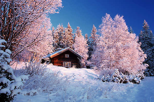 포토 JPG 해외이미지 나무 계절 도로 길 백그라운드 겨울 밭 자연 벽지 하늘 날씨 산 그림자 풍경 사람없음 야외 목재 파란색 빛 햇빛 태양 맑음 얼음 추위 흰색 나뭇가지 시골 숲 시원함 크리스탈 질감 서리 장면 내추럴 눈내림 해외202004 해외포토 자연요소 식물 컬러 농업 재료 교통시설 눈_날씨 광석 생태계 파일형식 이미지허브