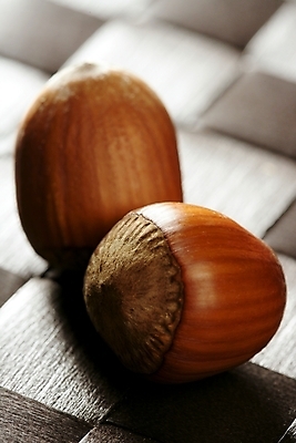 포토 JPG 해외이미지 실내 근접촬영 사람없음 아웃포커스 견과류 헤이즐넛 해외202004 해외포토 뷰포인트 촬영기법 내부 파일형식 이미지허브