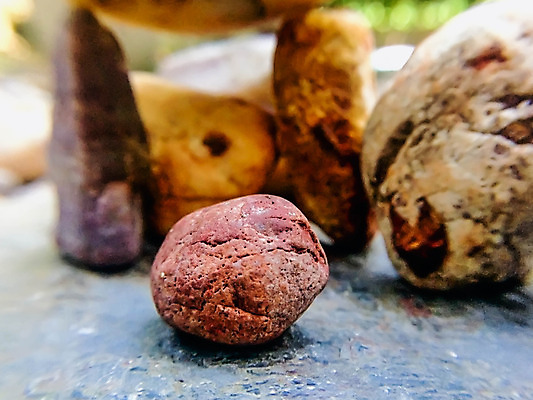 포토 JPG 해외이미지 백그라운드 오렌지 자연 추상 사람없음 야외 여름 컬러풀 노란색 조약돌 바위 흰색 그리기 매끈함 그림 내추럴 해외202004 해외포토 계절 컬러 무늬 과일 모션 돌_바위 감각 생태계 파일형식 이미지허브