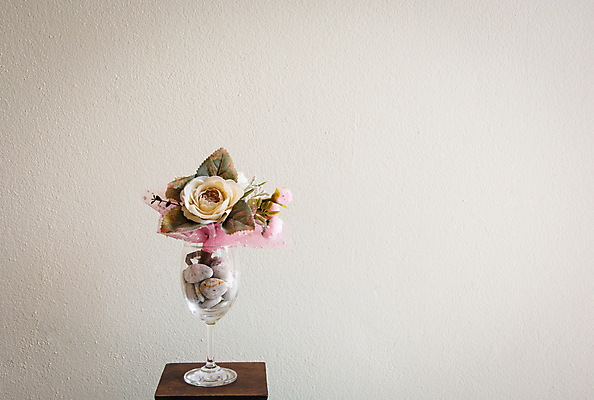 포토 JPG 해외이미지 식물 꽃 꽃다발 자연 사람없음 초록색 컬러풀 흰색 항아리 고립 정물화 해외202004 해외포토 컬러 도자기 그림 생태계 파일형식 이미지허브