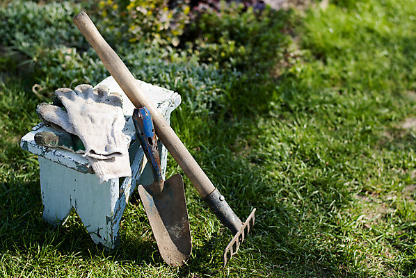 포토 JPG 해외이미지 식물 공원 컨셉 잎 농업 자연 휴식 풍경 사람없음 초록색 여름 정원 침묵 봄 성장 공구 시골 신선 업무 모종삽 삽 국자 유기농 원예 내추럴 갈퀴 개발 돌봄 땅바닥 심기 해외202004 해외포토 웰빙 계절 공공시설 산업 컬러 모션 주방용품 바닥 취미 소리 도구 작업 생태계 파일형식 이미지허브