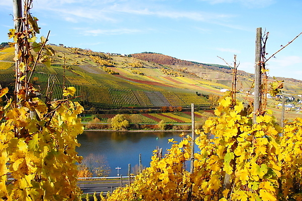 포토 JPG 해외이미지 사람없음 여름 인도인 해외202004 해외포토 외국인 계절 동양인 파일형식 이미지허브