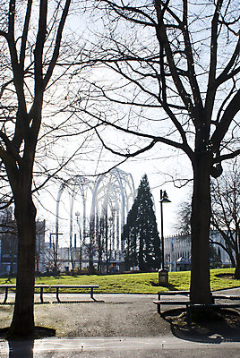 포토 JPG 해외이미지 나무 계절 공원 잎 자연 하늘 그림자 풍경 사람없음 야외 초록색 빛 도시풍경 햇빛 태양 일몰 봄 가을 도시 도심 문학 스카이라인 시애틀 워싱턴 소멸 해외202004 해외포토 자연요소 식물 공공시설 컬러 노을 미국 생태계 파일형식 이미지허브