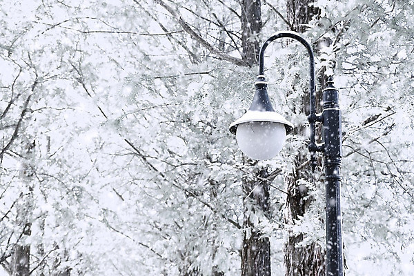 포토 JPG 해외이미지 나무 계절 공원 백그라운드 크리스마스 겨울 가로등 자연 유리 벽지 아침 날씨 휴가 새로움 거리 사람없음 야외 장식 냉동 얼음 검은색 추위 수확 골동품 덮개 흰색 나뭇가지 램프 소나무 우아함 12월 연도 서리 온도 침엽수 눈보라 구식 옛날 타격 폭설 눈내림 효과 해외202004 해외포토 주간 자연요소 식물 공공시설 기념일 컬러 컨셉 농업 모션 재질 조명 눈_날씨 뚜껑 날짜 자연재해 생태계 파일형식 이미지허브
