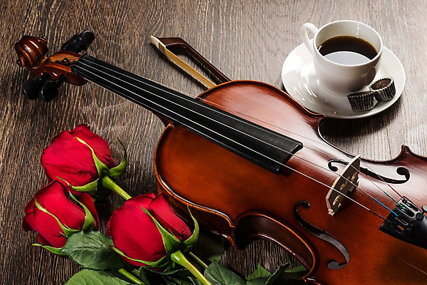 포토 JPG 해외이미지 커피 사람없음 장미 우아함 커피잔 바이올린 나무바닥 바이올린활 차받침대 해외202004 해외포토 꽃 음료 컨셉 현악기 잔 바닥 받침대 파일형식 이미지허브