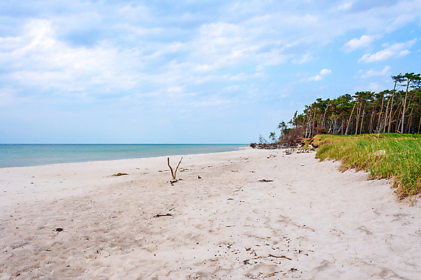 포토 JPG 해외이미지 구름 여행 자연 하늘 휴가 독일 풍경 사람없음 초록색 숲 내추럴 발트해 서쪽 해외202004 해외포토 자연요소 유럽 바다 컬러 북유럽 방향 생태계 파일형식 이미지허브