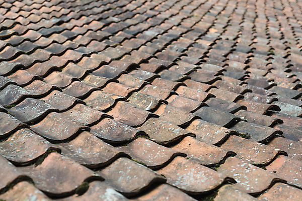 포토 JPG 해외이미지 오렌지 건축양식 표면 지붕 날씨 주택 저울 이끼 사람없음 건물 파란색 농장 튀김 성장 도자기 플랫 갑판 타일 부식 눈금 기념물 천연기념물 복잡 블러 옛날 해외202004 해외포토 건축물 건축 음식 컬러 컨셉 농업 배_교통 과일 파일형식 이미지허브